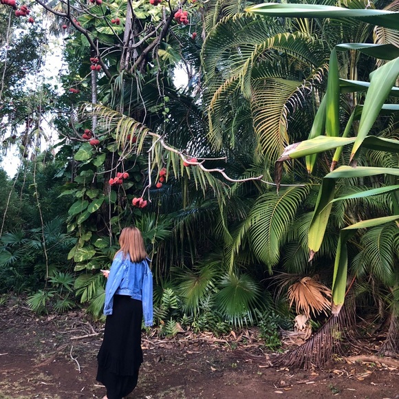 Meet your Posher, M. - Picture 1 of 1